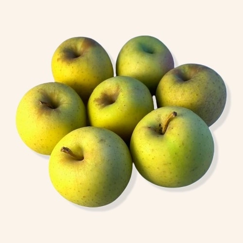 petites pommes Golrush